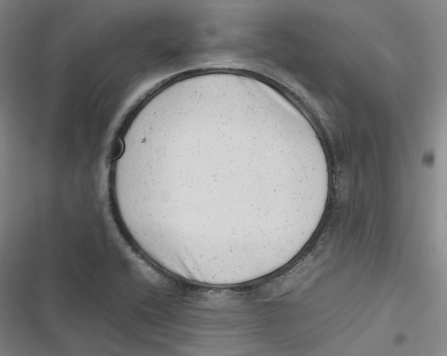 X0000116881416201001121313