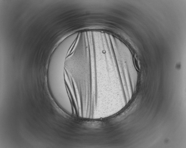 X0000116881417201001121313