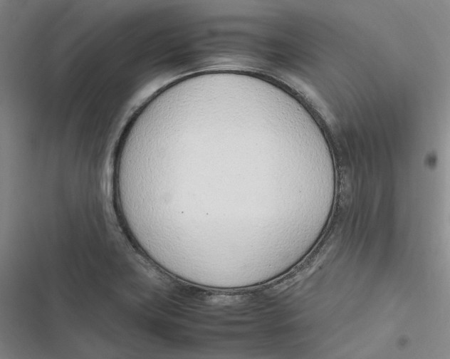 X0000116881419201001121313