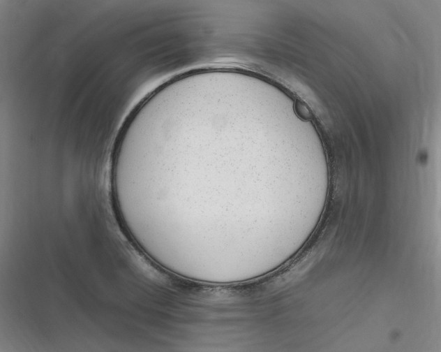 X0000116881420201001121313
