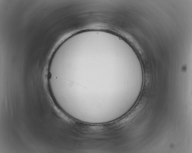 X0000116881421201001121313