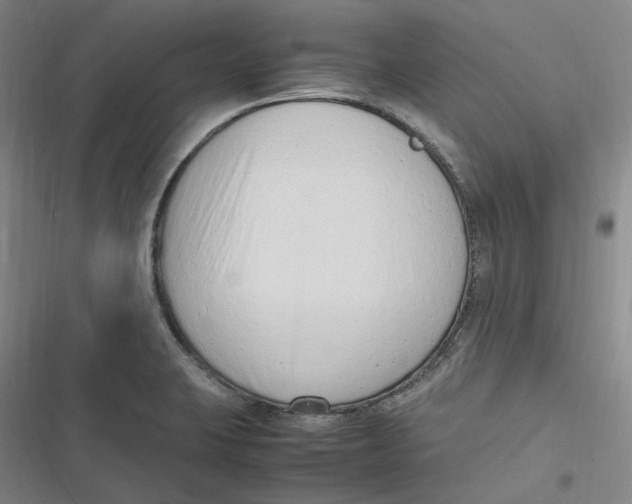 X0000116881423201001121313