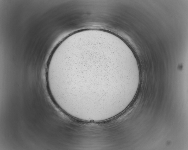X0000116881424201001121313