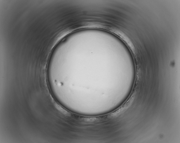 X0000116881425201001121313