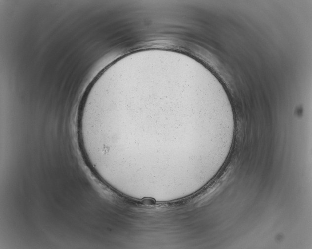 X0000116881426201001121313