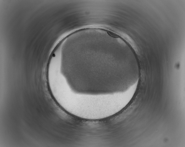 X0000116881428201001121313