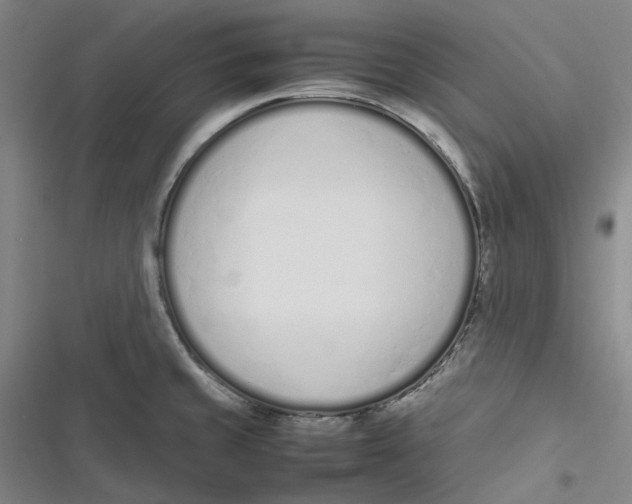 X0000116881429201001121313