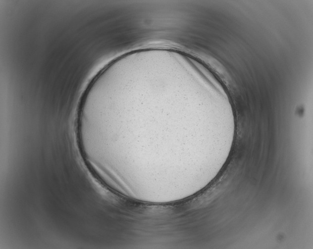 X0000116881430201001121313