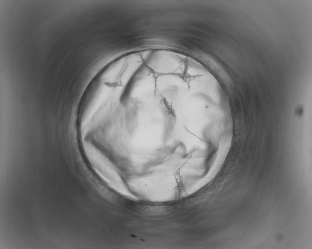 X0000116881431201001121313