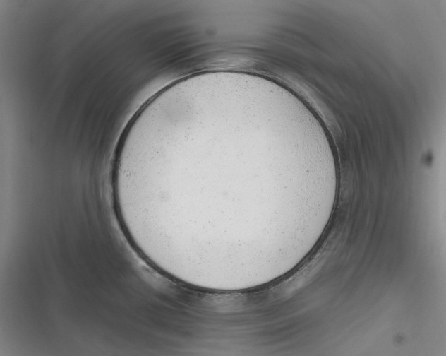 X0000116881434201001121313