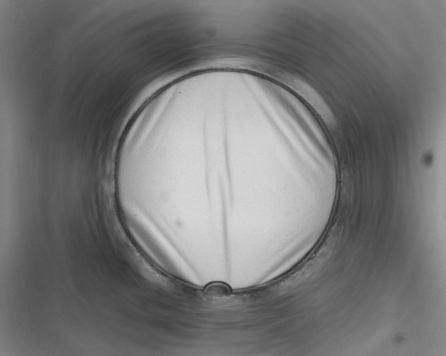 X0000116881436201001121313
