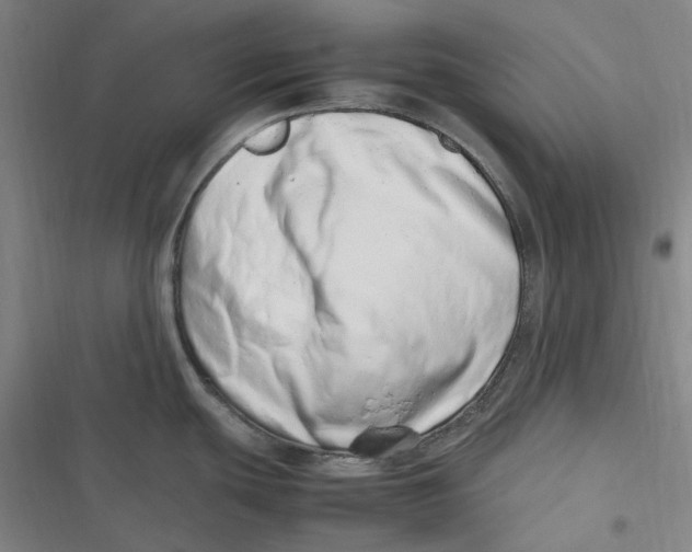 X0000116881439201001121313