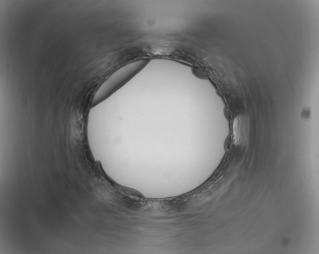 X0000116881443201001121313