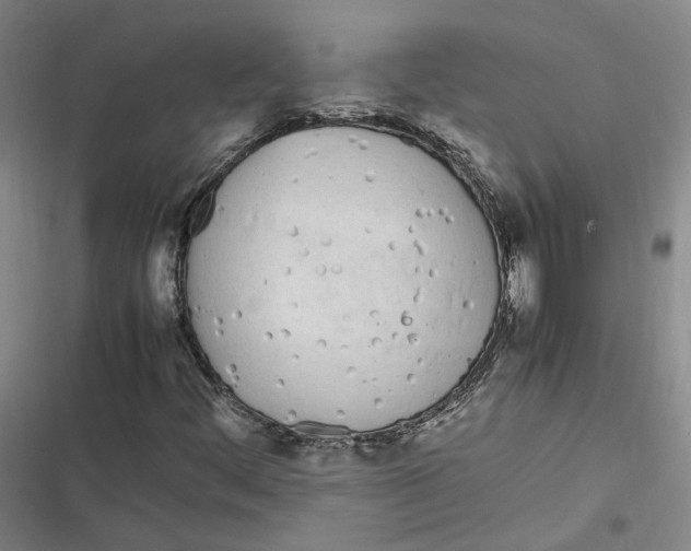 X0000116881444201001121313