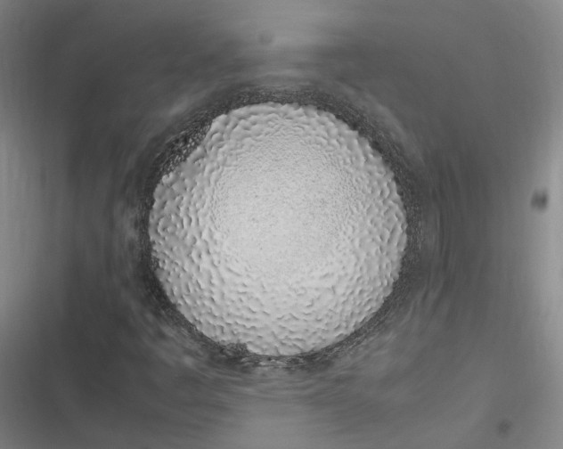 X0000116881445201001121313