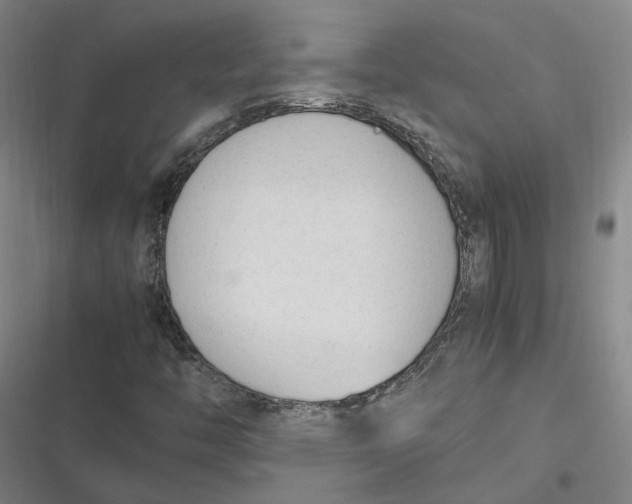 X0000116881446201001121313