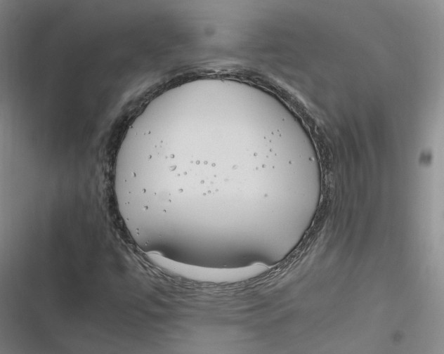 X0000116881447201001121312