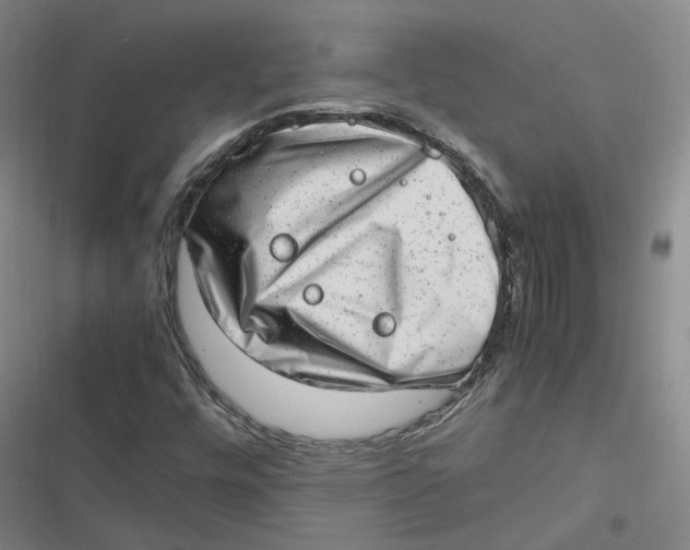 X0000116881448201001121312