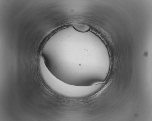 X0000116881449201001121312