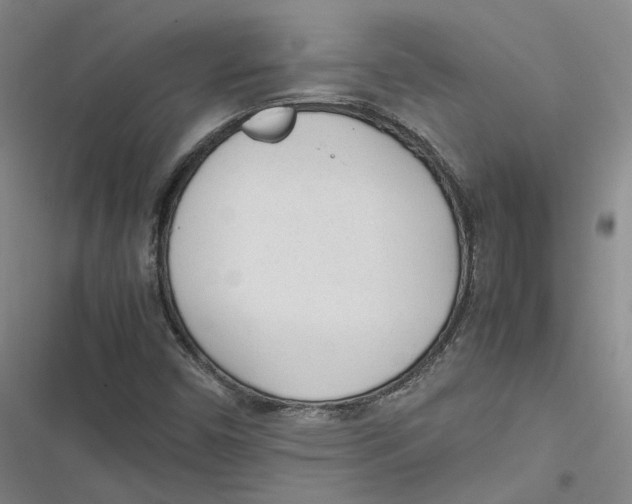 X0000116881450201001121312