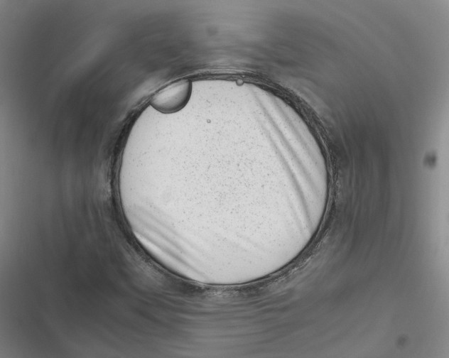 X0000116881451201001121312
