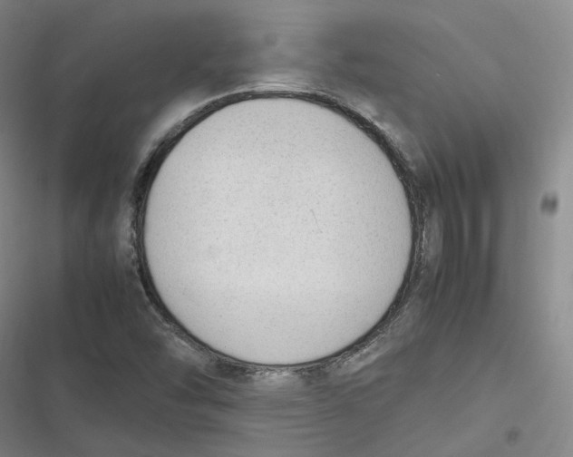 X0000116881454201001121312