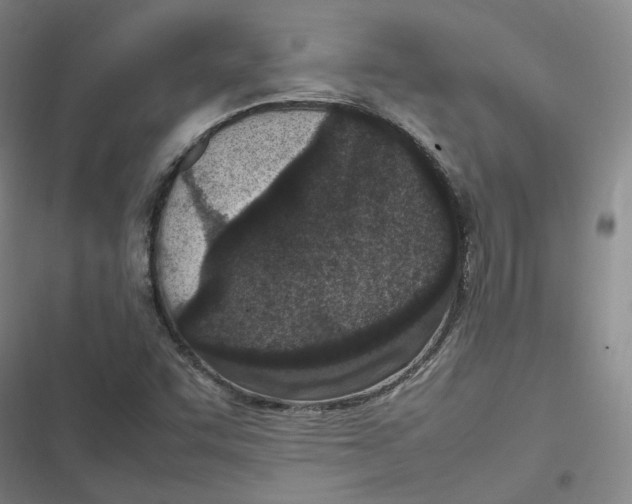 X0000116881455201001121312