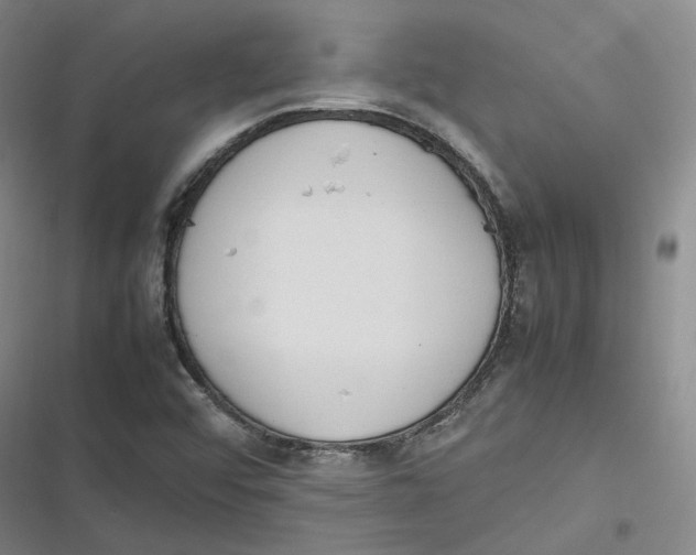 X0000116881456201001121312