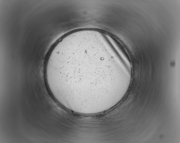 X0000116881460201001121312