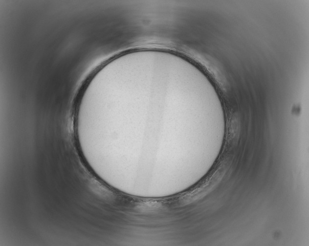 X0000116881462201001121312