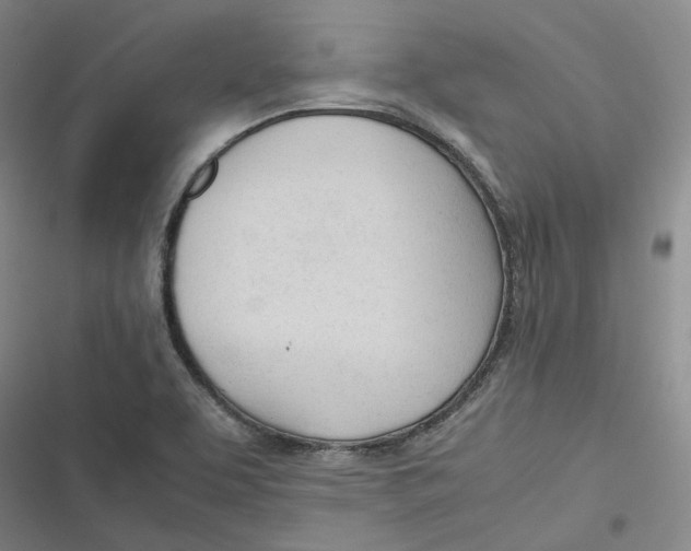 X0000116881463201001121312