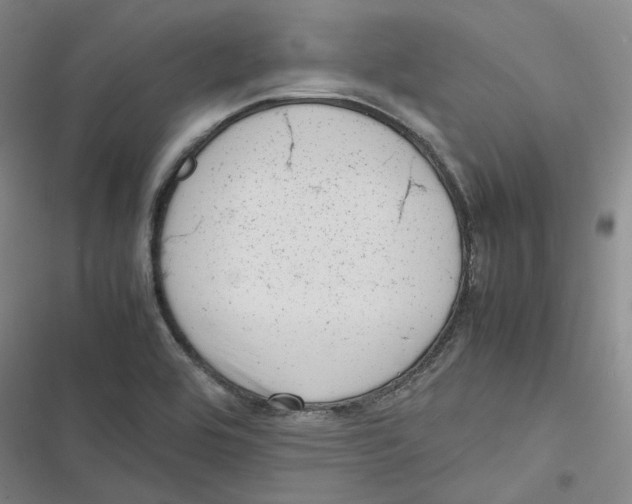 X0000116881464201001121312
