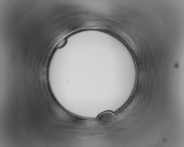 X0000116881465201001121312