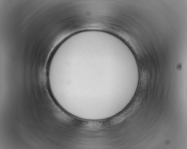 X0000116881466201001121312