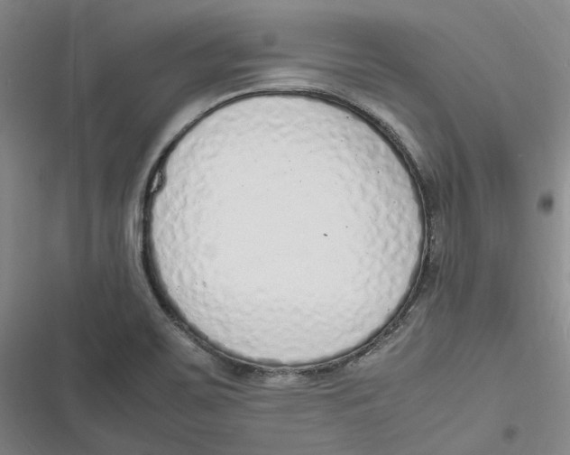 X0000116881467201001121312