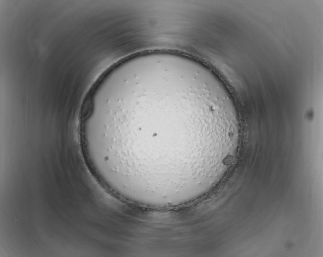 X0000116881468201001121312
