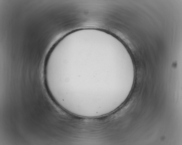 X0000116881469201001121312