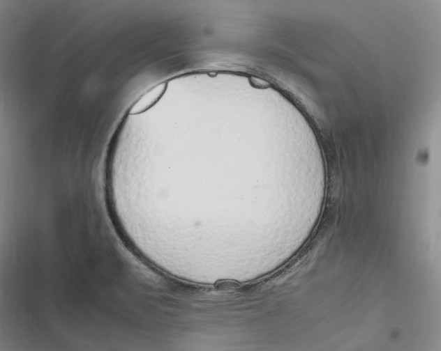 X0000116881471201001121312