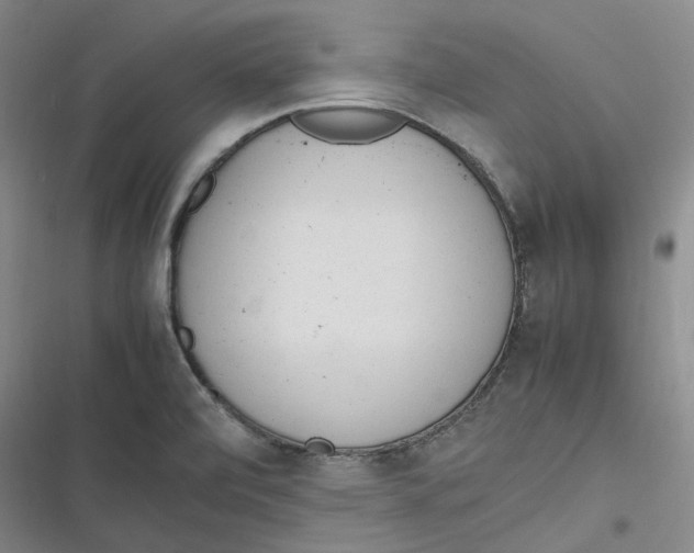 X0000116881472201001121312