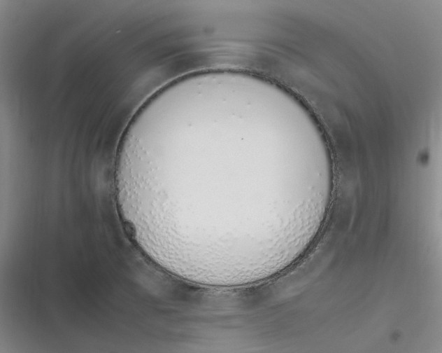 X0000116881473201001121312