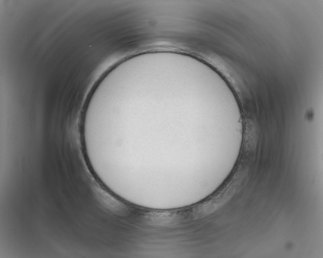 X0000116881474201001121312