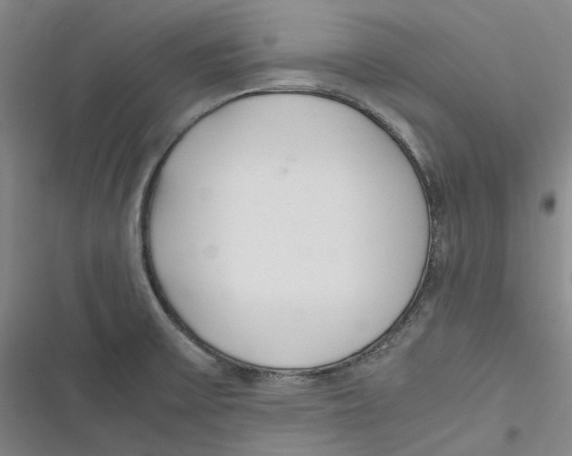 X0000116881475201001121312