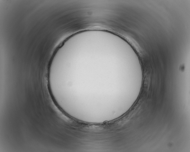 X0000116881476201001121312