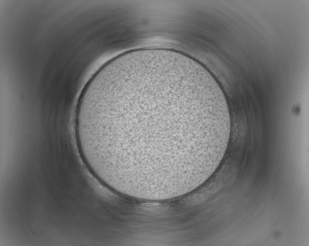 X0000116881478201001121312