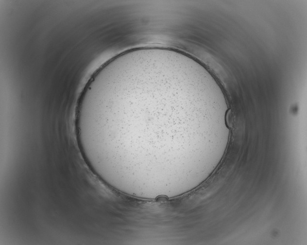 X0000116881480201001121312