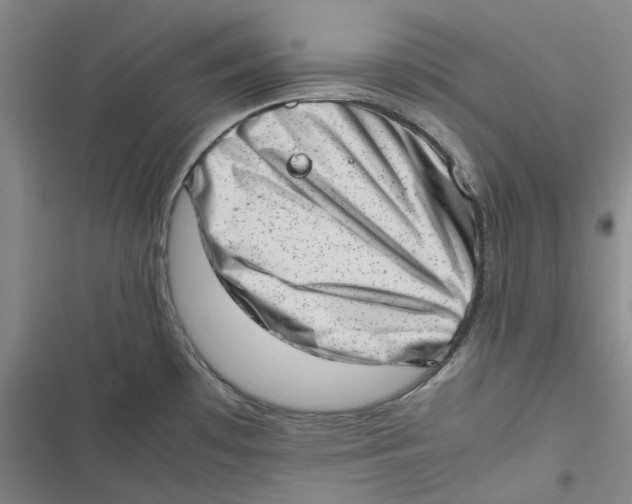 X0000116881481201001121312