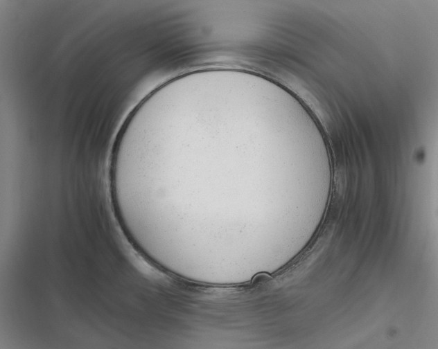 X0000116881482201001121312
