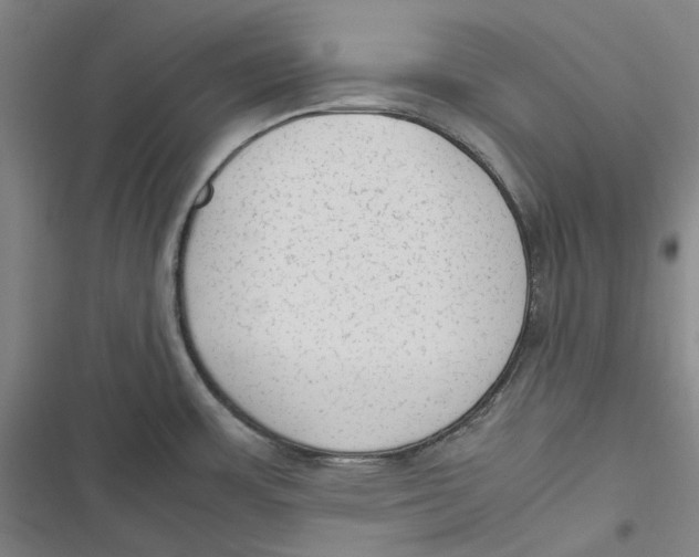 X0000116881483201001121312