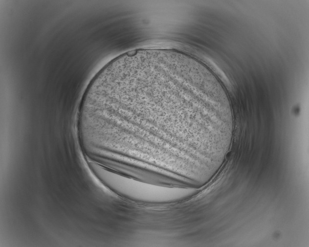X0000116881484201001121312