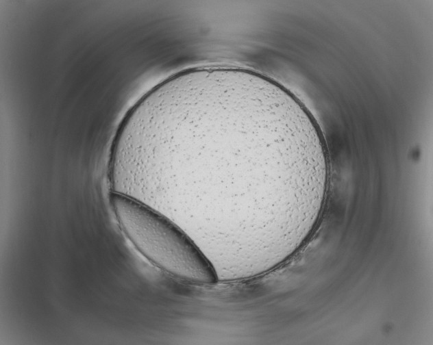 X0000116881485201001121312